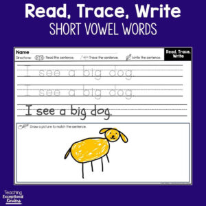 CVC Read Trace Write Center (Handwriting)