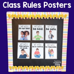 Class Rules Posters